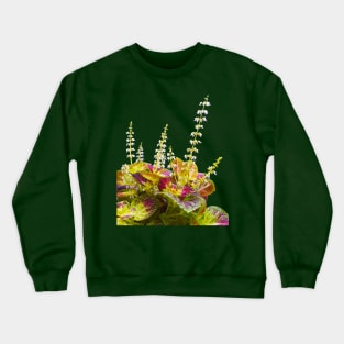 Nature Plant and Flower Photography Crewneck Sweatshirt